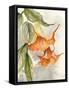 Orange Bell Flowers-Jacob Q-Framed Stretched Canvas