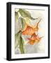 Orange Bell Flowers-Jacob Q-Framed Art Print