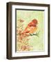 Orange Bird-Bee Sturgis-Framed Art Print