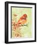 Orange Bird-Bee Sturgis-Framed Art Print