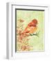 Orange Bird-Bee Sturgis-Framed Art Print