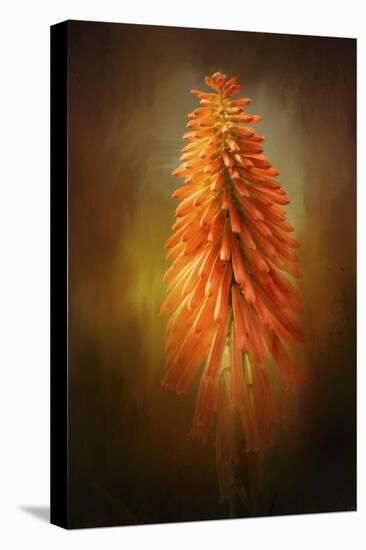 Orange Blast in the Garden-Jai Johnson-Stretched Canvas