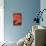Orange Blooms-Den Reader-Mounted Photographic Print displayed on a wall