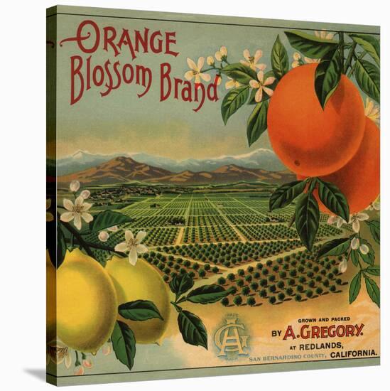 Orange Blossom Brand - Redlands, California - Citrus Crate Label-Lantern Press-Stretched Canvas