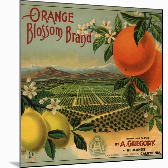 Orange Blossom Brand - Redlands, California - Citrus Crate Label-Lantern Press-Mounted Giclee Print