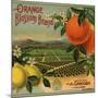 Orange Blossom Brand - Redlands, California - Citrus Crate Label-Lantern Press-Mounted Giclee Print