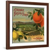 Orange Blossom Brand - Redlands, California - Citrus Crate Label-Lantern Press-Framed Giclee Print
