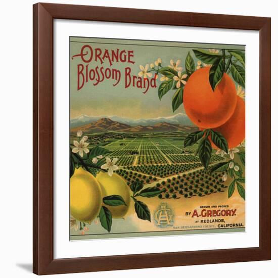 Orange Blossom Brand - Redlands, California - Citrus Crate Label-Lantern Press-Framed Giclee Print