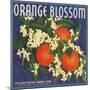 Orange Blossom Brand - Redlands, California - Citrus Crate Label-Lantern Press-Mounted Premium Giclee Print