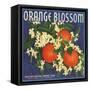 Orange Blossom Brand - Redlands, California - Citrus Crate Label-Lantern Press-Framed Stretched Canvas