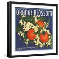 Orange Blossom Brand - Redlands, California - Citrus Crate Label-Lantern Press-Framed Art Print