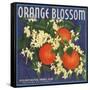 Orange Blossom Brand - Redlands, California - Citrus Crate Label-Lantern Press-Framed Stretched Canvas