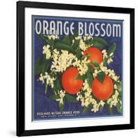 Orange Blossom Brand - Redlands, California - Citrus Crate Label-Lantern Press-Framed Art Print