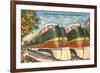 Orange Blossom Special Trains, Florida-null-Framed Premium Giclee Print