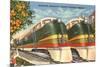 Orange Blossom Special Trains, Florida-null-Mounted Premium Giclee Print