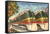 Orange Blossom Special Trains, Florida-null-Framed Stretched Canvas
