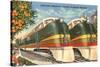 Orange Blossom Special Trains, Florida-null-Stretched Canvas