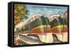 Orange Blossom Special Trains, Florida-null-Framed Stretched Canvas