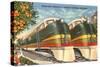 Orange Blossom Special Trains, Florida-null-Stretched Canvas