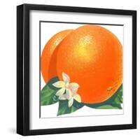 Orange Blossoms and Fruit-null-Framed Art Print