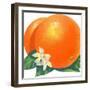 Orange Blossoms and Fruit-null-Framed Art Print