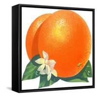 Orange Blossoms and Fruit-null-Framed Stretched Canvas