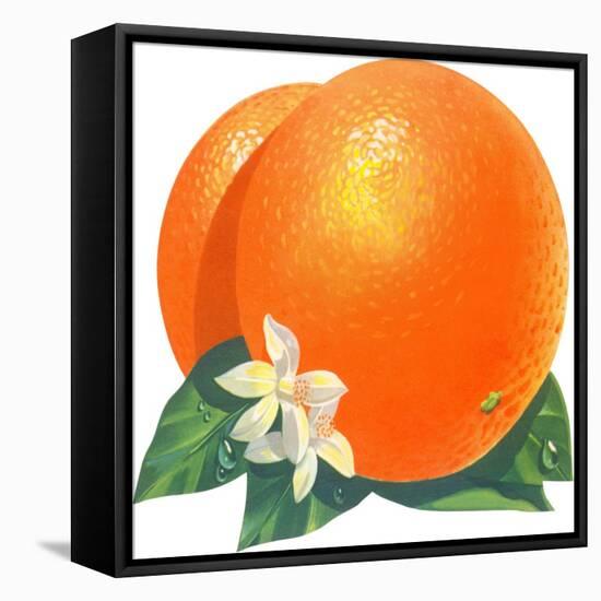 Orange Blossoms and Fruit-null-Framed Stretched Canvas