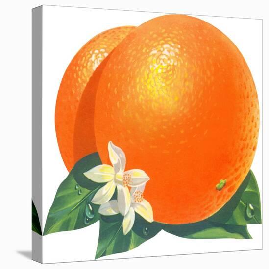 Orange Blossoms and Fruit-null-Stretched Canvas