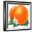 Orange Blossoms and Fruit-null-Framed Premium Giclee Print