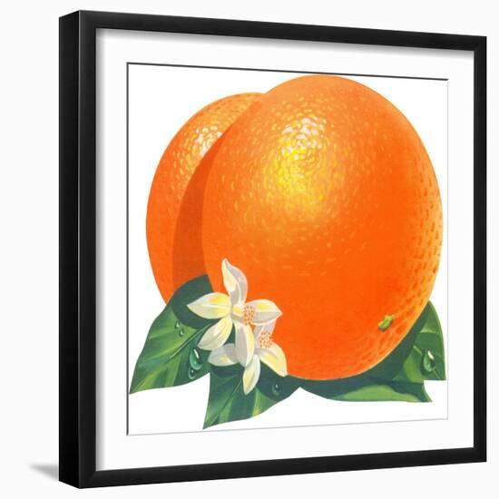 Orange Blossoms and Fruit-null-Framed Premium Giclee Print