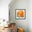 Orange Blossoms and Fruit-null-Framed Giclee Print displayed on a wall