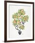 Orange Bonsai Orange-Cat Coquillette-Framed Giclee Print