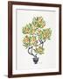 Orange Bonsai Orange-Cat Coquillette-Framed Giclee Print