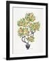 Orange Bonsai Orange-Cat Coquillette-Framed Giclee Print