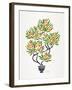 Orange Bonsai Orange-Cat Coquillette-Framed Giclee Print