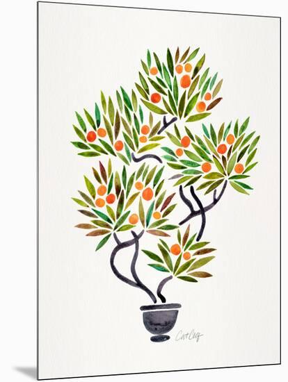 Orange Bonsai Orange-Cat Coquillette-Mounted Art Print