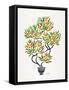 Orange Bonsai Orange-Cat Coquillette-Framed Stretched Canvas