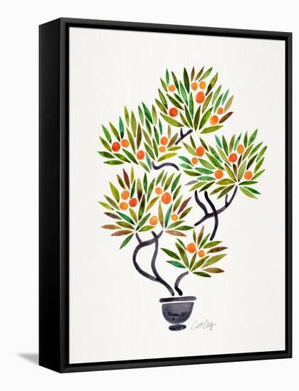 Orange Bonsai Orange-Cat Coquillette-Framed Stretched Canvas