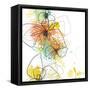 Orange Botanica-Jan Weiss-Framed Stretched Canvas