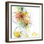 Orange Botanica-Jan Weiss-Framed Art Print