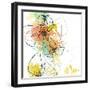 Orange Botanica-Jan Weiss-Framed Art Print