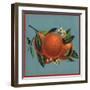 Orange Branch - Citrus Crate Label-Lantern Press-Framed Art Print