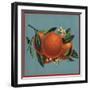 Orange Branch - Citrus Crate Label-Lantern Press-Framed Art Print