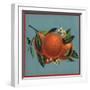 Orange Branch - Citrus Crate Label-Lantern Press-Framed Art Print