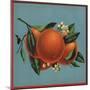 Orange Branch - Citrus Crate Label-Lantern Press-Mounted Art Print