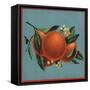 Orange Branch - Citrus Crate Label-Lantern Press-Framed Stretched Canvas