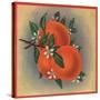 Orange Branch - Citrus Crate Label-Lantern Press-Stretched Canvas