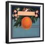 Orange Branch - Citrus Crate Label-Lantern Press-Framed Art Print