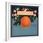 Orange Branch - Citrus Crate Label-Lantern Press-Framed Art Print