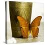 Orange Butterfly against Copper Vase-Tom Quartermaine-Stretched Canvas